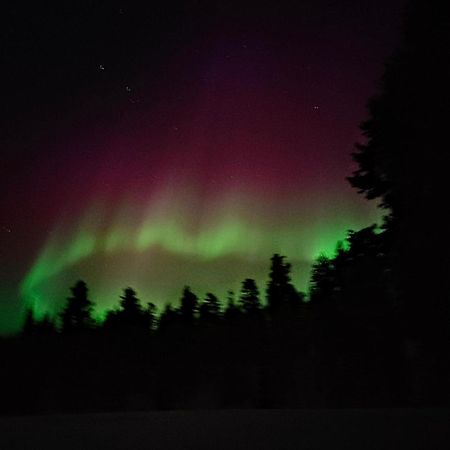 Isokelo Log Apartments Salla Esterno foto