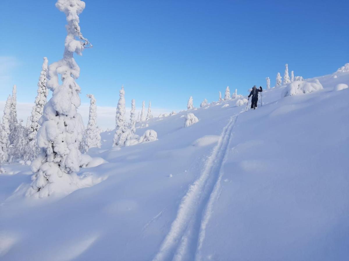 Isokelo Log Apartments Salla Esterno foto