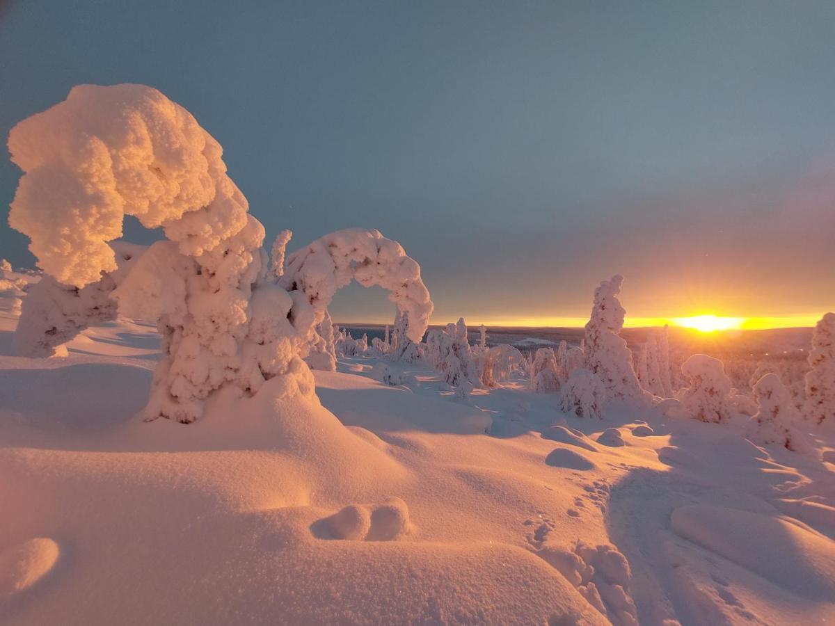 Isokelo Log Apartments Salla Esterno foto